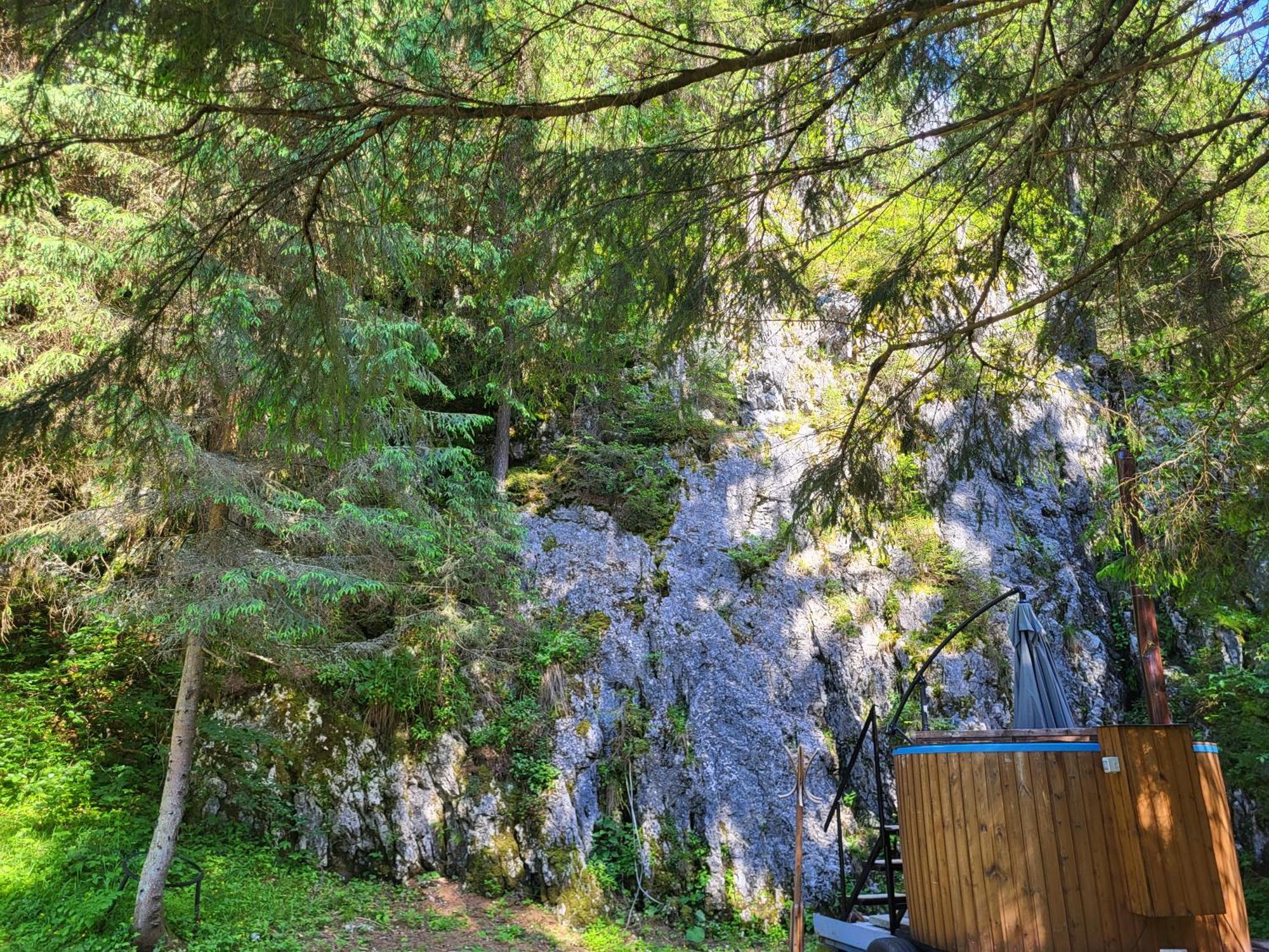 Hotel Pension Cabana Cetatile Ponorului Padis Exterior foto